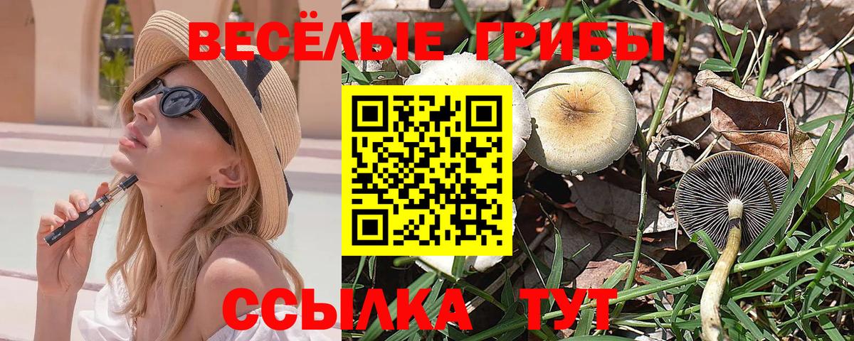 Артёмовский  Псилоцибиновые грибы GOLDEN TEACHER  наркошоп  Псилоцибиновые грибы Psilocybine cubensis  Вход с VPN 
